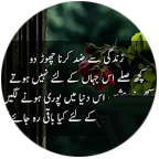 Miss Zaidi